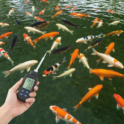Koi fish swimming in a perfectly clear pond, with a hand holding a water testing kit in the foreground, showing chemical readings, no text, no words, no typography, 8K